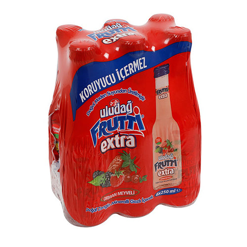 Uludağ Frutti Extra Forest Fruits Sparkling Natural Mineral Water – 200ml (Pack of 6)